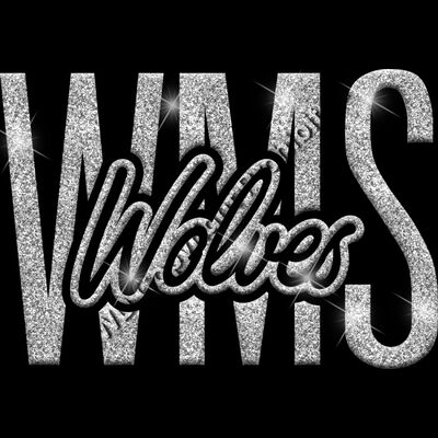 GLT95 SILVER GLITTER Thumbnail