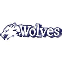 GLT17 BLUE GLITTER Thumbnail